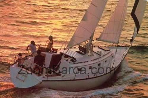 Hunter 37 Cherubini scheda tecnica e recensioni